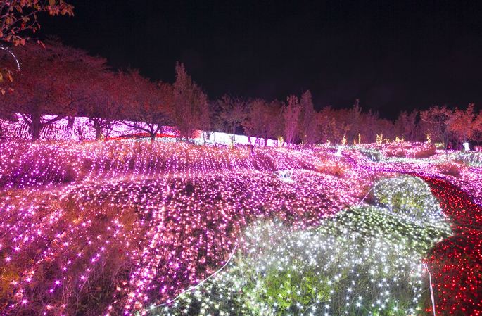 五百萬彩燈讓夜晚繽紛絢麗。（圖片來源／sagamiko-resort）