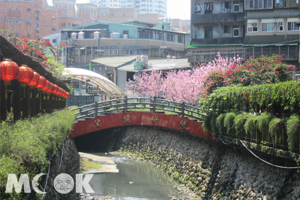 土城左岸賞櫻。(圖片提供／新北市農業局)