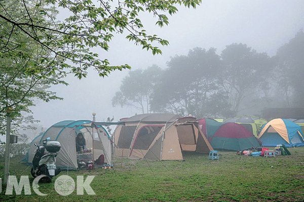 每到下午總有雲霧襲來，彷若身在仙境。(圖片提供／TRAVELER Luxe旅人誌)