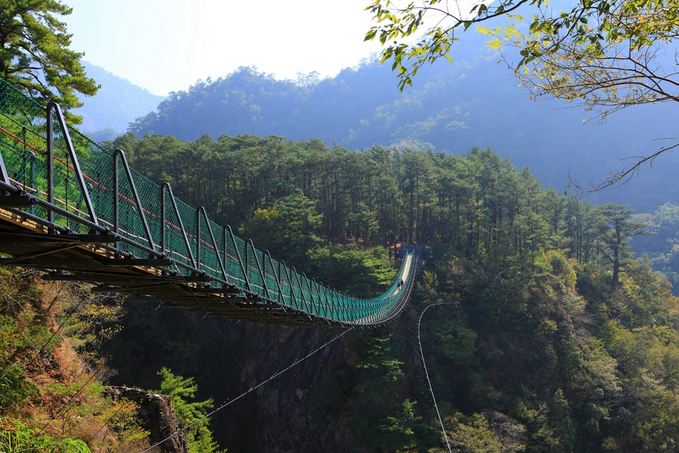 奧萬大吊橋。（圖片來源／台灣觀光局）