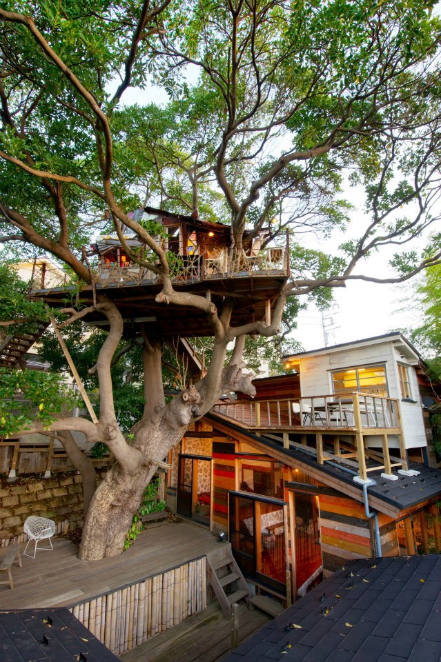 爬上樹屋，欣賞周遭美好風景。（圖片來源／なんじゃもんじゃカフェ）