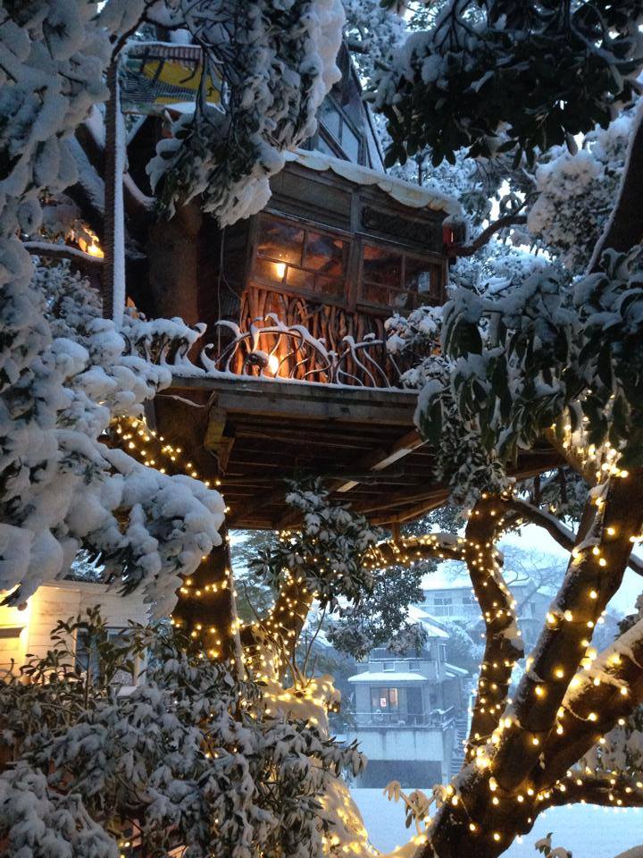 冬日雪景，點上燈飾營造如童話般的場景。（圖片來源／なんじゃもんじゃカフェ）