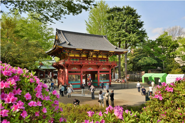 根津神社是江戶神社中規模最大的一座。（圖片來源／panoramio）