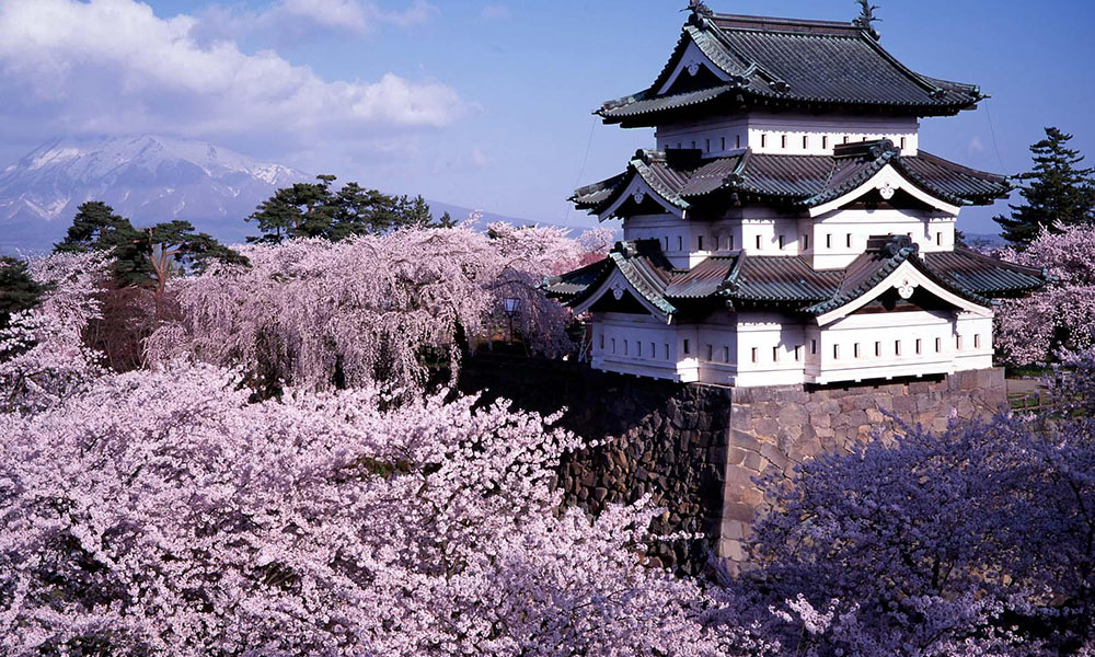 青森弘前城櫻花美景遠近馳名，其櫻景是不少日本人都認可的最美春色（圖片來源／JNTO）