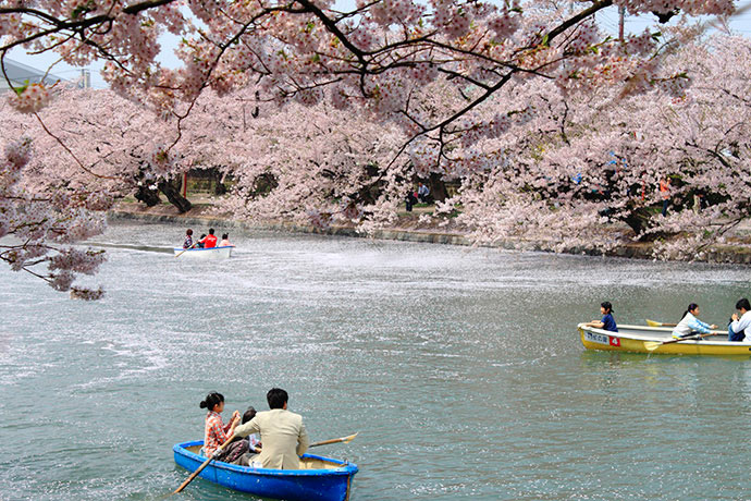 乘著小艇細細地眺望櫻花美景，還有弘前城美景，十分愜意享受（圖片來源／JNTO）