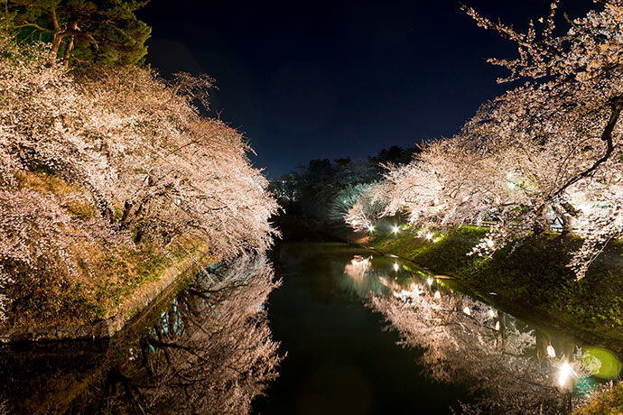 櫻花搭配夜間點燈，與水中倒影相映，呈現與白天截然不同的美麗風景。（圖片來源／JNTO）