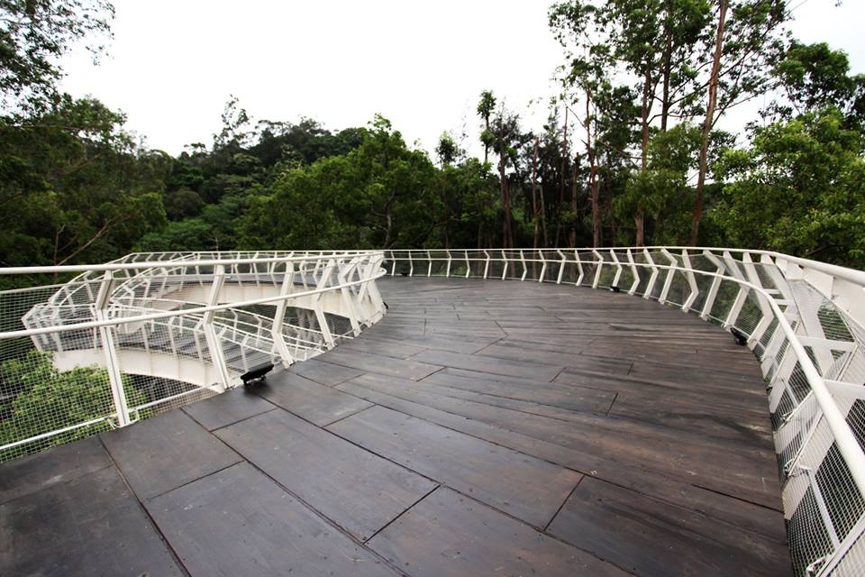 新竹人行天橋啟用往來高峰植物園與十八尖山更加安全便利。（圖片來源／新竹市長林智堅）