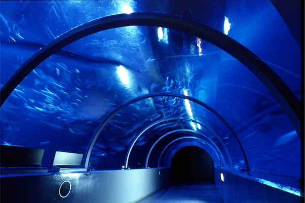 城堡內設有水中隧道，讓遊客能夠漫步海中欣賞魚群從頭上游過的景色。（圖片來源／asp.hotel-story）