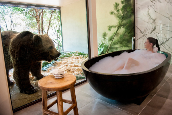 在房內洗澡邊欣賞窗外棕熊的生活。（圖片來源／flightcentre）