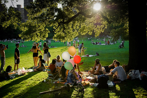 在綠草上野餐，享受和三五好友聊天相聚的美好時光。(圖片來源／centralpark）