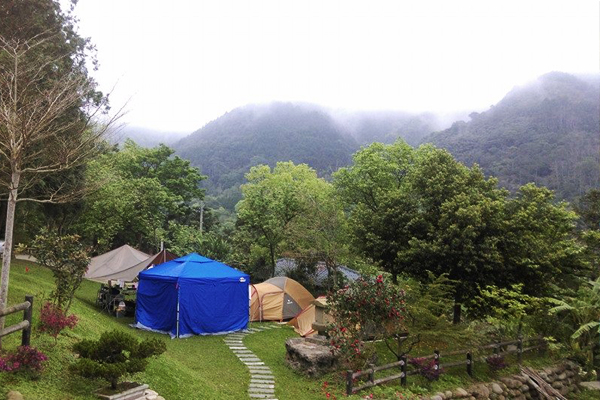 露營環境有山嵐繚繞，置身林木之間。（圖片來源／苗栗南庄 林泉休閒露營區）