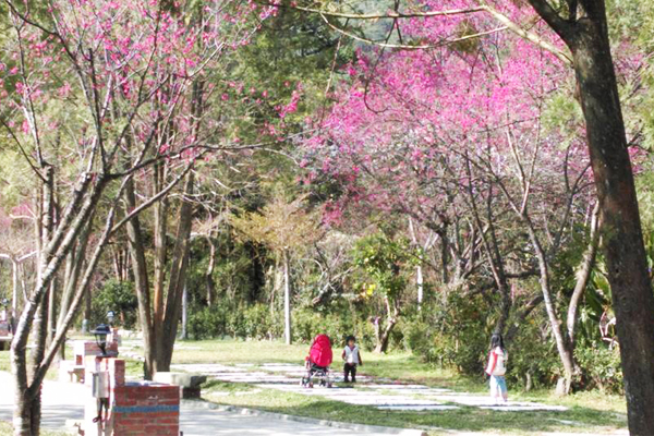 林泉休閒露營區春夏秋冬皆有不同風景。（圖片來源／苗栗南庄 林泉休閒露營區）