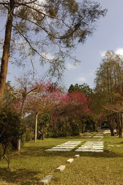 以均等水泥塊與草皮結合成了帳篷營位。（圖片來源／苗栗南庄 林泉休閒露營區）