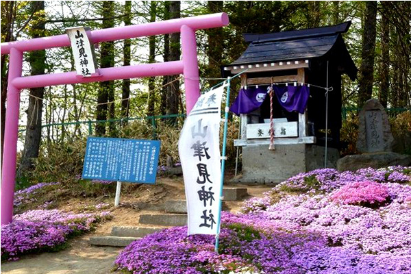 山津見神社的粉紅色鳥居非常特別。(圖片來源／東藻琴芝櫻公園)