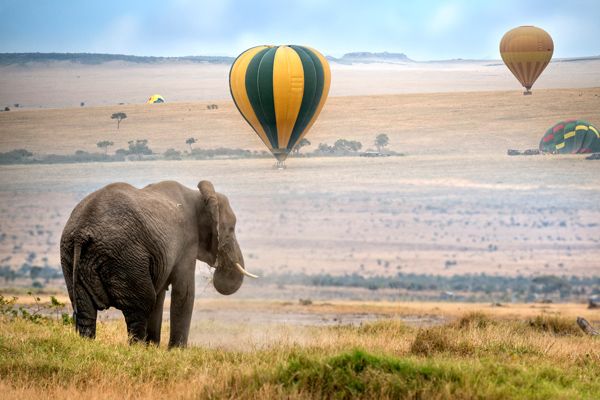 在坦尚尼亞搭乘熱氣球，可以觀賞野生動物日常生活。（圖片來源／huffingtonpost）