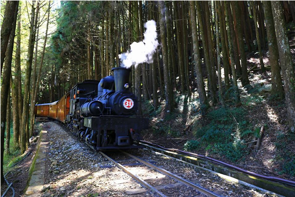 阿里山森林鐵路第3季郵輪式列車於6月3日開賣。（圖片來源／阿里山國家森林遊樂區）