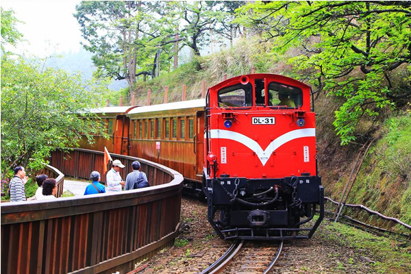 阿里山森林鐵路第3季郵輪式列車於6月3日開賣，要和大家一起放暑假。（圖片來源／阿里山國家森林遊樂區）