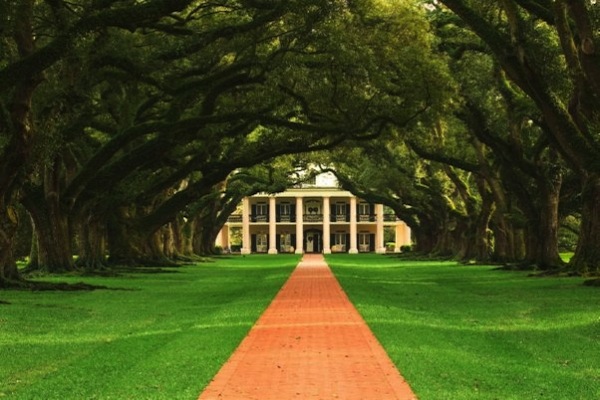 橡樹巷莊園（Oak Alley Plantation）是十八世紀的典型建築，在美國內戰前也是甘蔗種植園。（圖片來源／Bois Travel ）