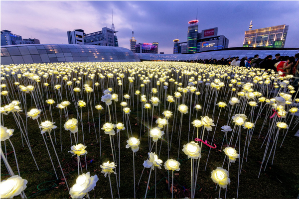 DDP萬朵白色玫瑰花海展覽，夢幻場景成為近期首爾必看景點。(圖片來源／rjkoehler）