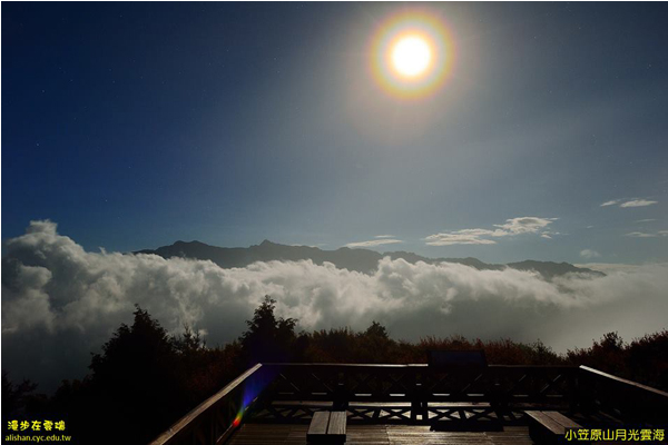 小笠原山月光雲海。(圖片提供／漫步在雲端的阿里山黃源明)