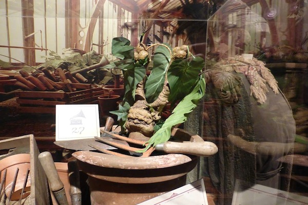 該展覽讓參觀麻瓜學習「曼德拉」植物有關能力。（提供圖片／Marc Faurot ）