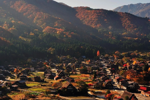 白川鄉黃金的秋天色調已然征服任何來此旅遊的眼。（圖片來源／Toyota ）