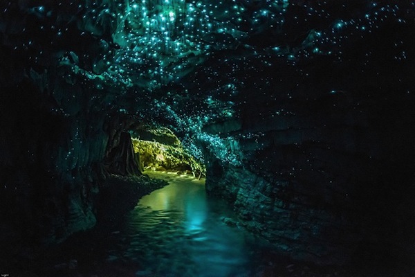 Glowworm Cave 的出口將迎接你進入另一個炫麗的異想世界。（圖片來源／Gnosticwarrior ）