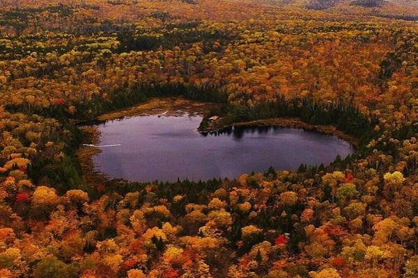 ‘Heart Lake’是很熱門的旅遊景點，到週末當地人來湖中划船或在浪漫的湖邊漫步，來忘卻生活中的忙碌律動。（圖片來源／Scoopnest ）