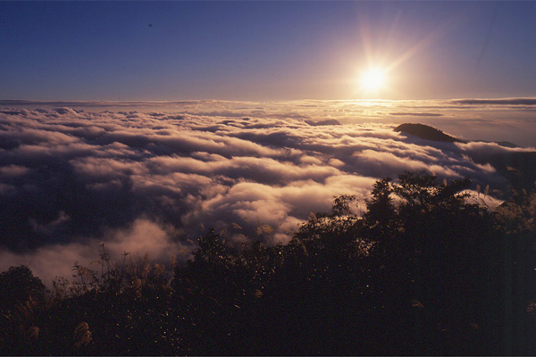 太平山雲海日出美景讓人驚艷。(圖片來源／林務局)
