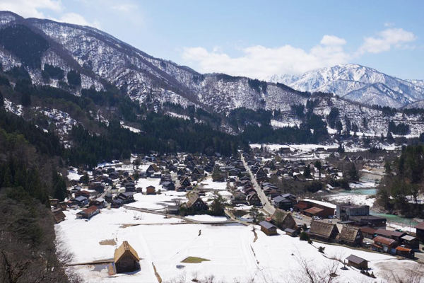 白雪覆蓋的合掌村，形狀可愛、有趣的合掌造建築非常吸睛。（圖片來源／白川村通信）