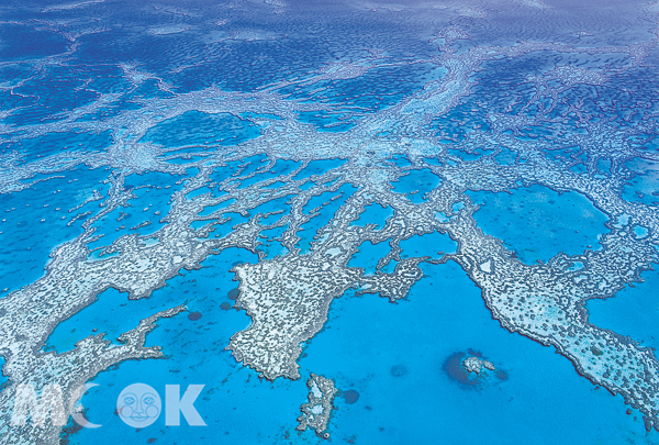 綿延2,300多公里的大堡礁是世界最大的水下自然奇跡。（圖片提供／昆士蘭旅遊局）