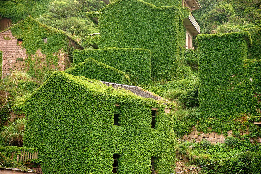 無人的房舍因綠色植物攀附，而呈現了不同的生命力。（圖片來源／weibo）