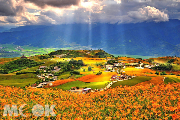六十石山山景優美，有台灣最美金針花園封號。(圖片提供／墨刻編輯部)