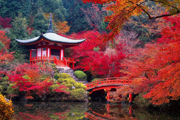 京都獲得2015全球最佳旅遊第第一名。（圖片來源／Travelieu）