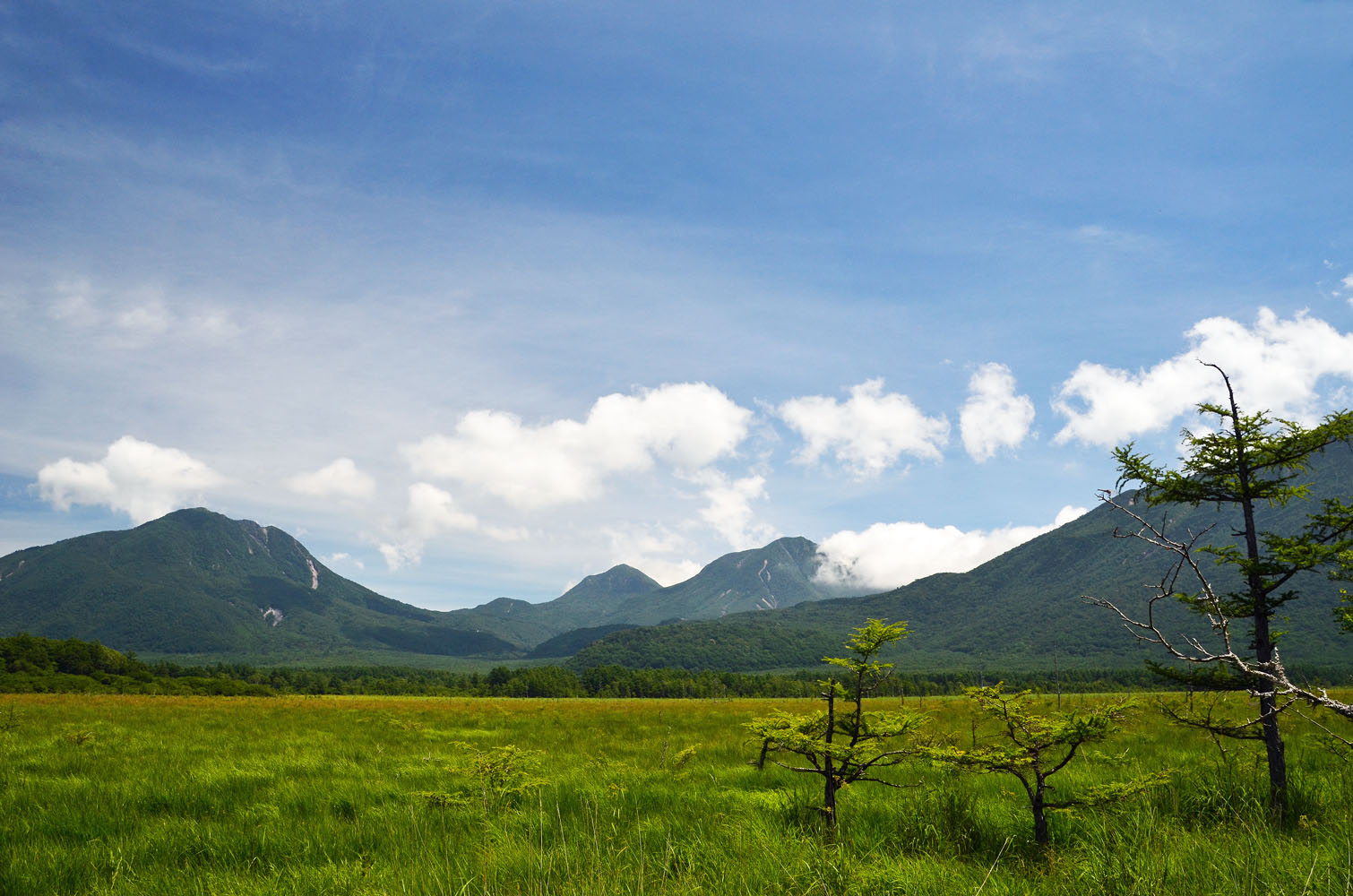 戰場之原擁有原始的自然美景（圖片來源／find-travel）