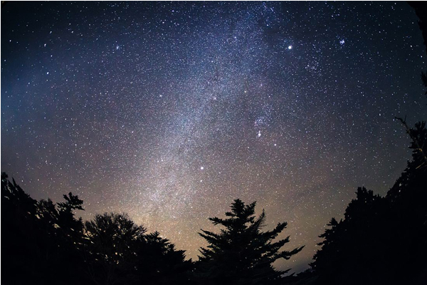 來到熊野國立公園，欣賞原始的自然景色，抬頭仰望燦爛的滿天星斗（圖片來源／ganref.jp）