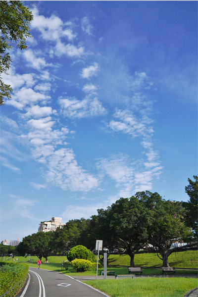 滿滿的藍天綠地，感受假期的美好時光。（圖片來源／台北旅遊網）