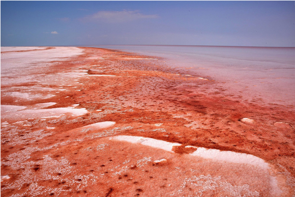 藻類增生讓原本潔白的鹽湖呈現紅色模樣（圖片來源／mashable）
