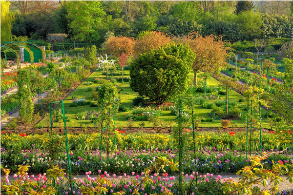 莫內花園裡有著各式各樣的繽紛花卉。（圖片來源／Fondation Claude Monet à Giverny）
