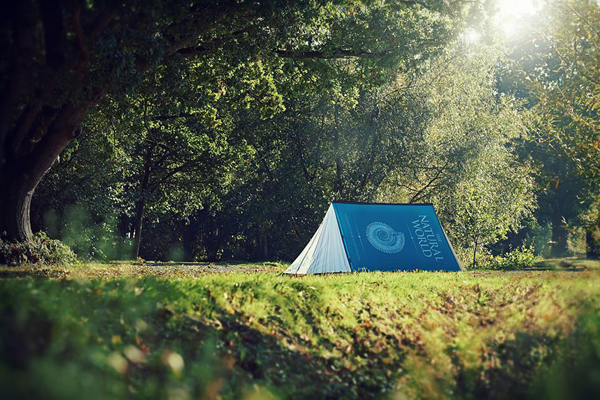 書本造型帳篷。（圖片來源／FieldCandy）