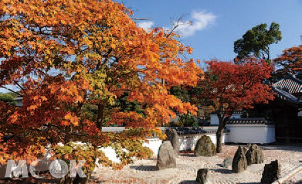 九州唯一枯山水庭園。（圖片提供／墨刻編輯部）