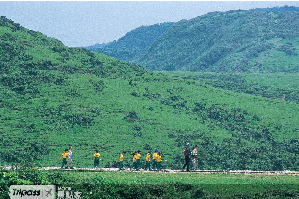 陽明山國家公園。（圖片提供／墨刻出版社）