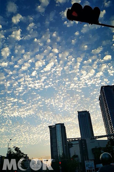 台北的天空佈滿了朵朵棉花糖雲。（圖片提供／Connie）