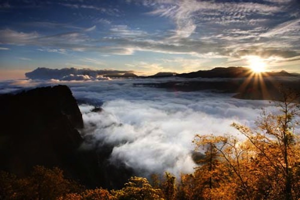 阿里山風景區以雲海中的日出而著名全台。（圖片來源／嘉義旅遊網）
