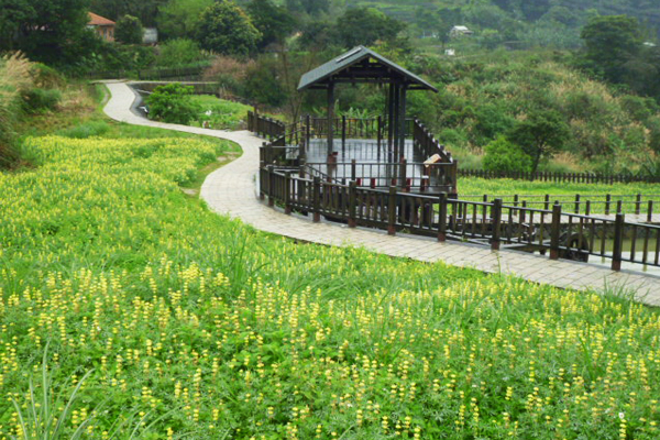 文山區樟樹步道-彩雲亭。（圖片來源／北市大地處）