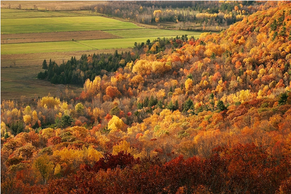 Aspen, Colorado, USA。(圖片來源／enjoyourholiday）