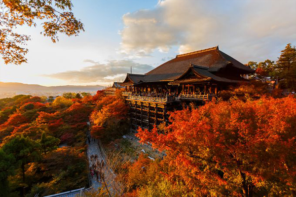 京都清水寺。（圖片來源／retrip）