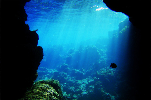 沖繩青之洞窟。（圖片來源／tabinchu）