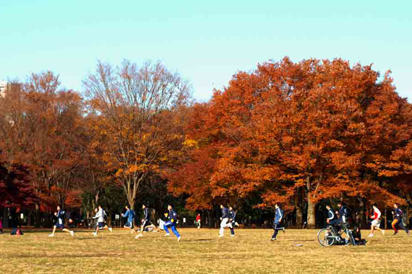 代代木公園。（圖片來源／torunotabi.at.webry）