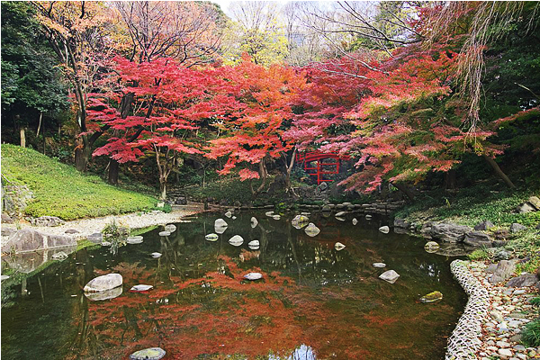 小石川後樂園同樣是東京市區內的熱門賞楓地。（圖片來源／kouyou.nihon-kankou.or.jp）